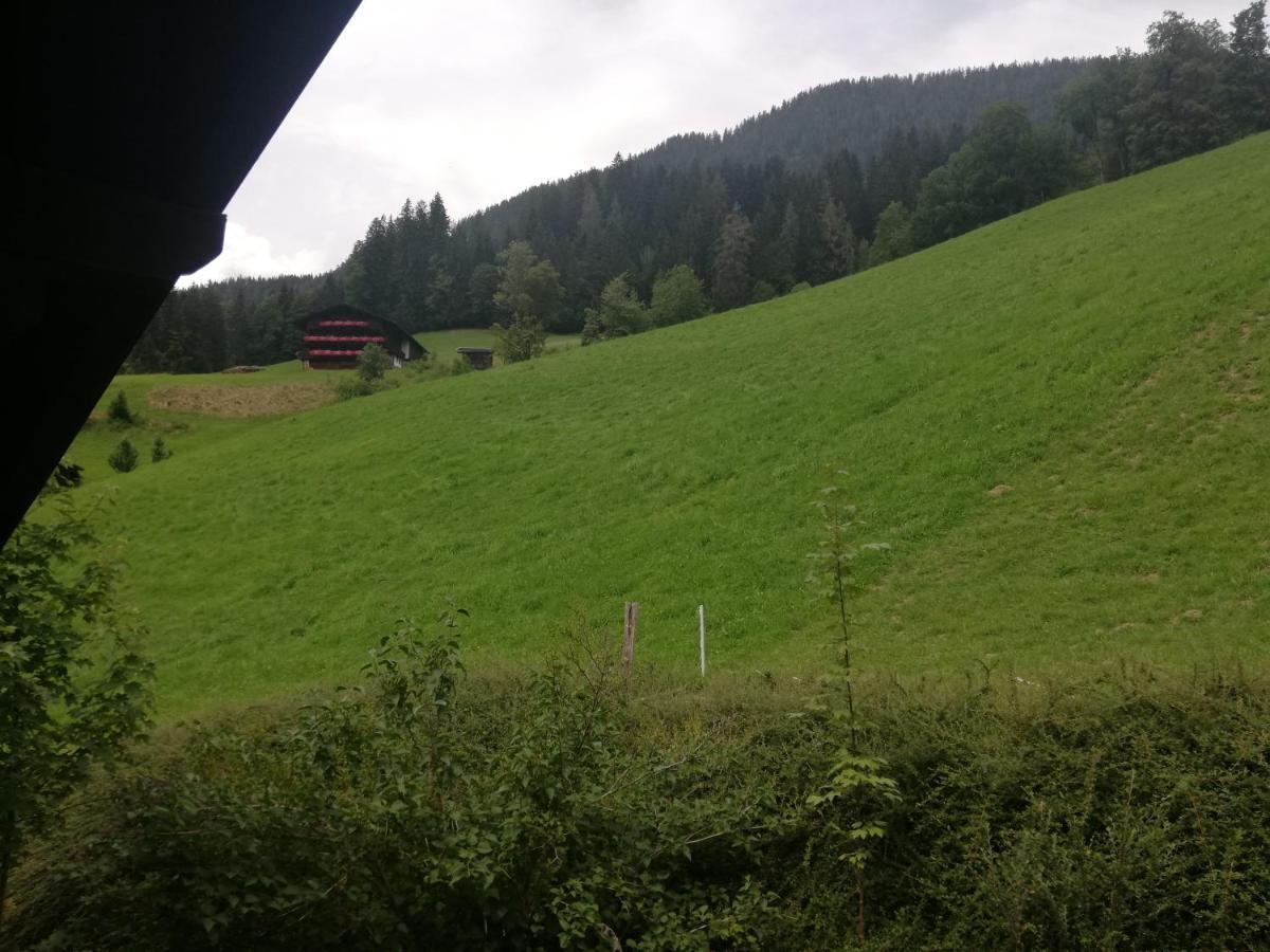Appartements Zellner Alpbach Bagian luar foto